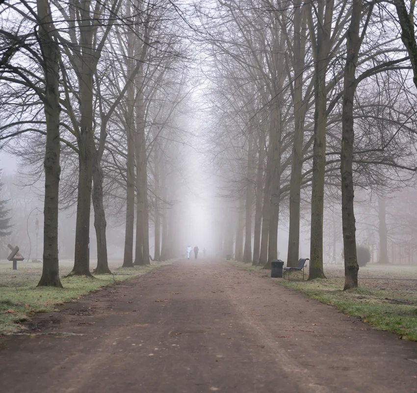 Spaziergang im Nebel