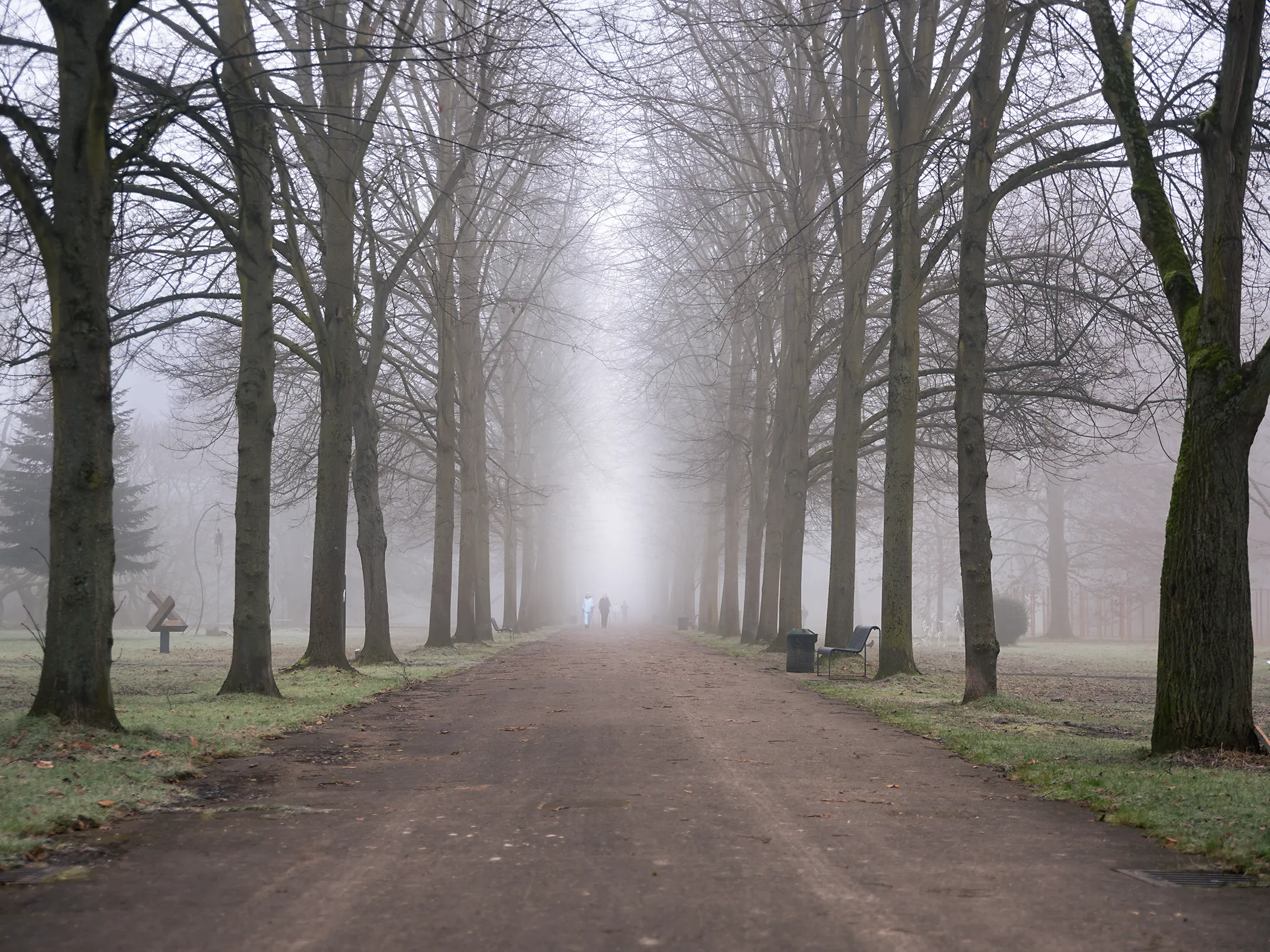 Spaziergang im Nebel