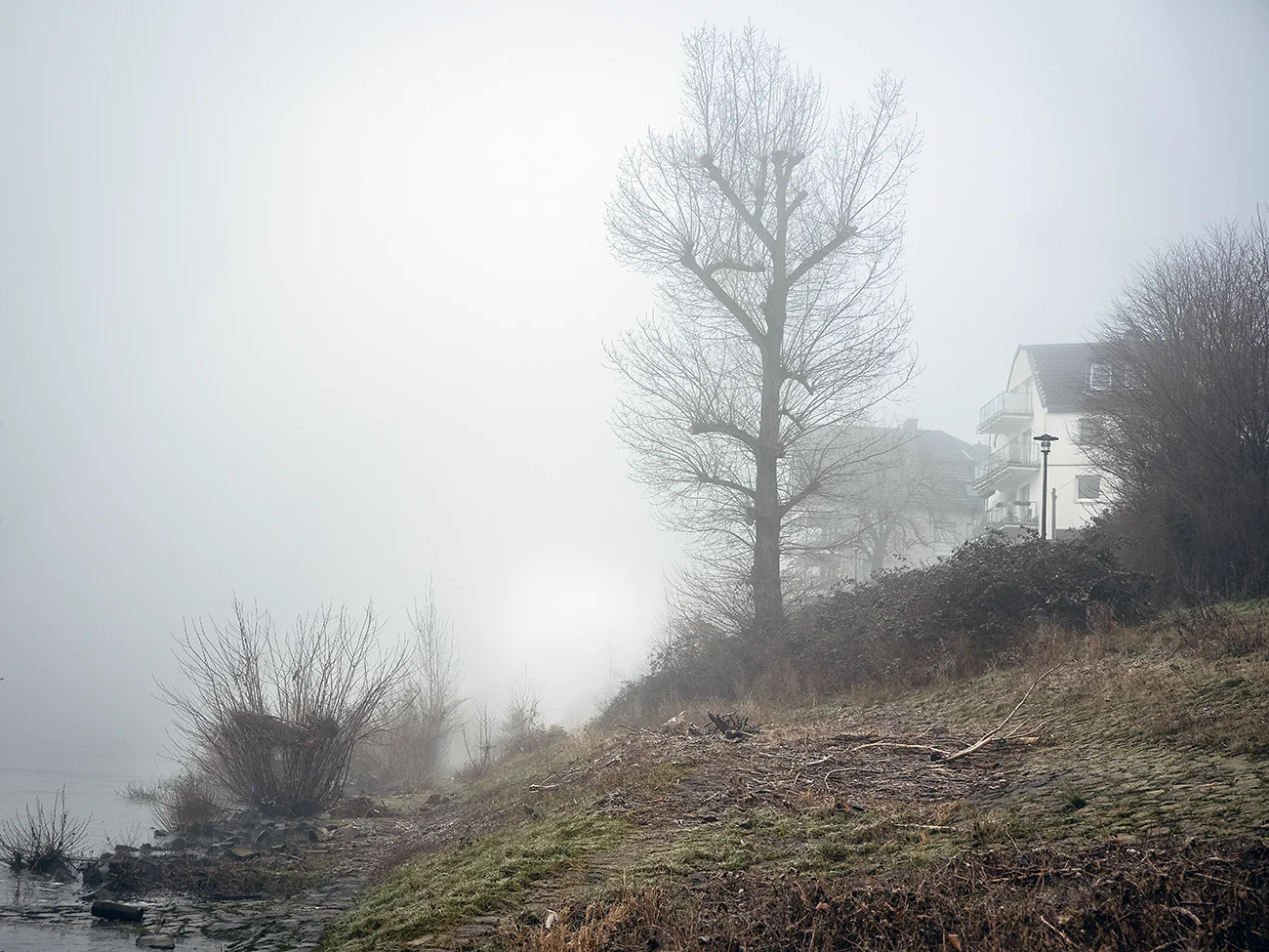 rheinufer, köln, nebel